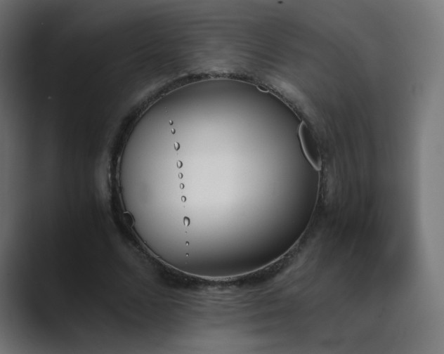 X0000089830680200706281212