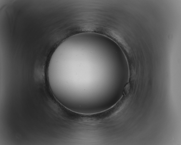 X0000089830681200706281212