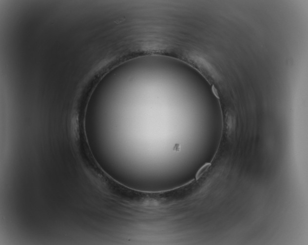 X0000089830684200706281212