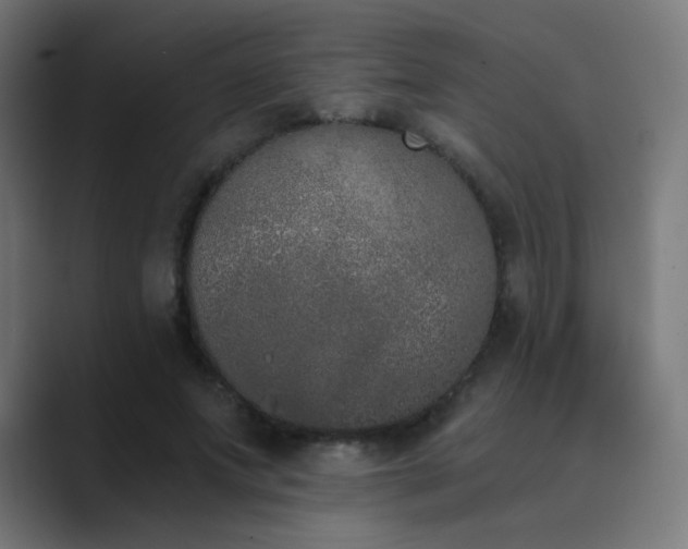 X0000089830687200706281212