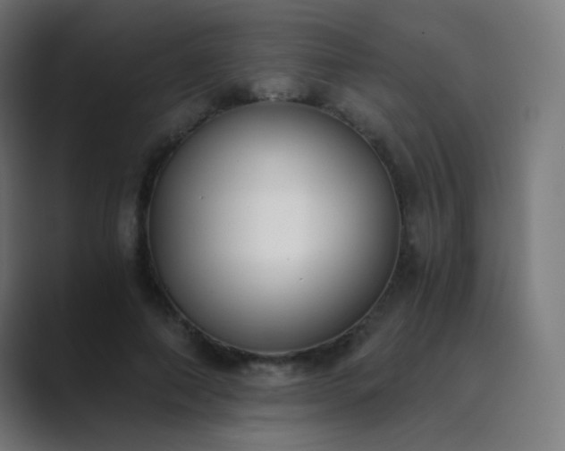 X0000089830690200706281212