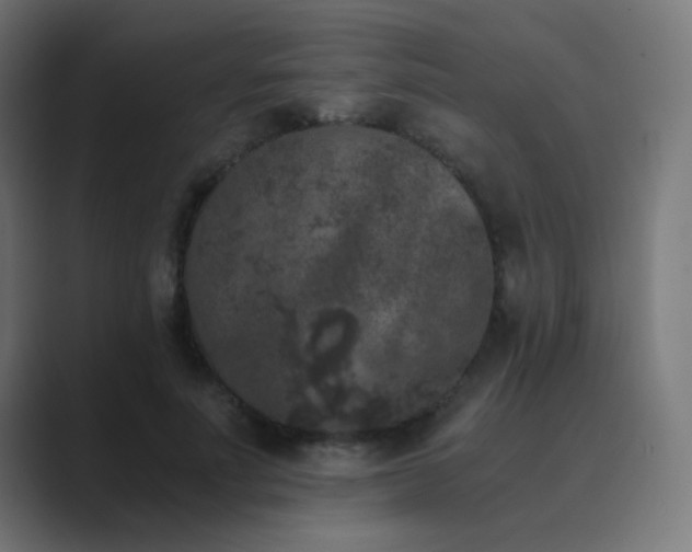 X0000089830691200706281212