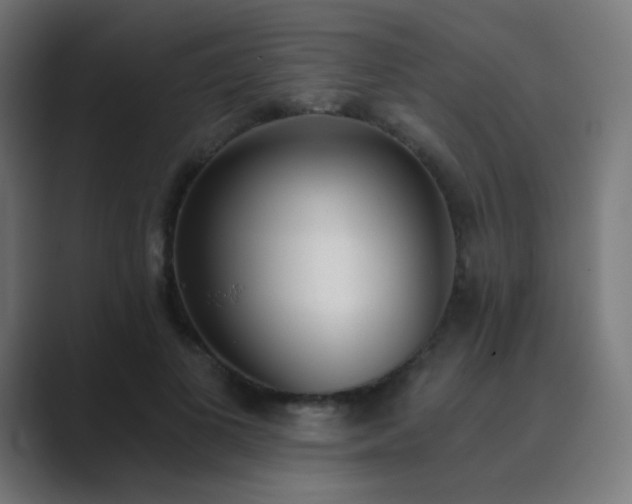 X0000089830693200706281212