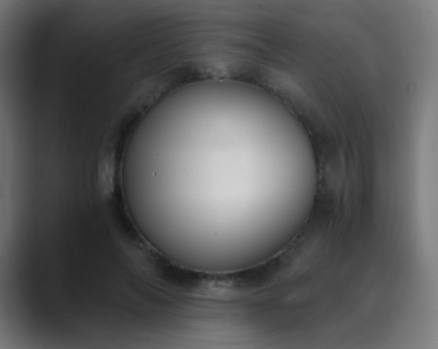 X0000089830694200706281212