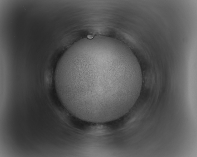 X0000089830695200706281212