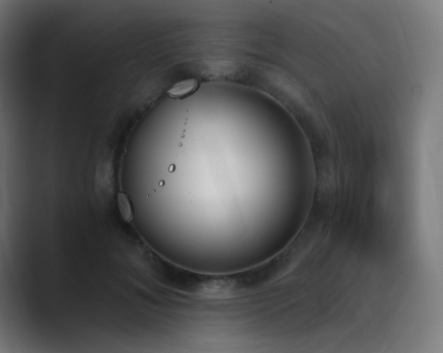 X0000089830700200706281212