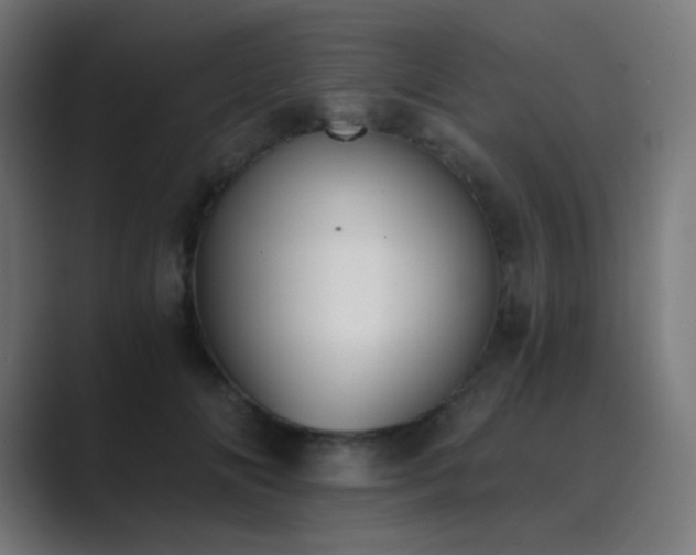 X0000089830702200706281212