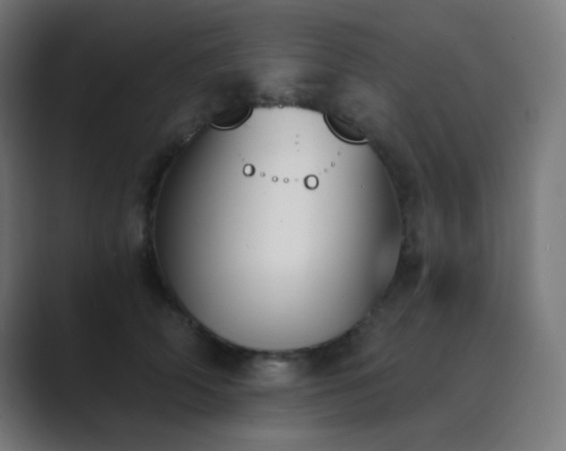 X0000089830706200706281212