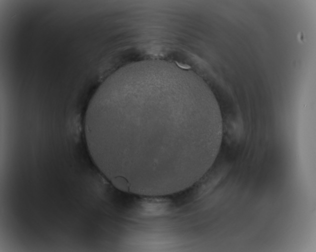 X0000089830707200706281212