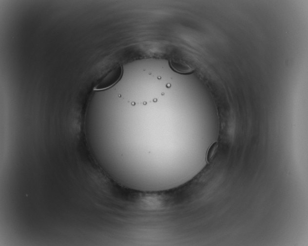 X0000089830710200706281211