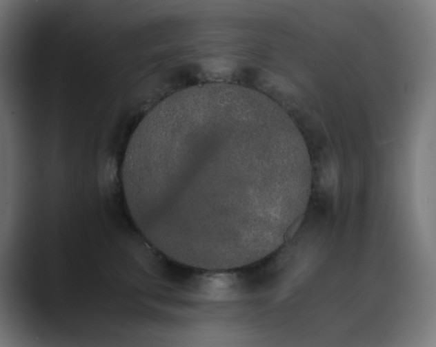 X0000089830711200706281211
