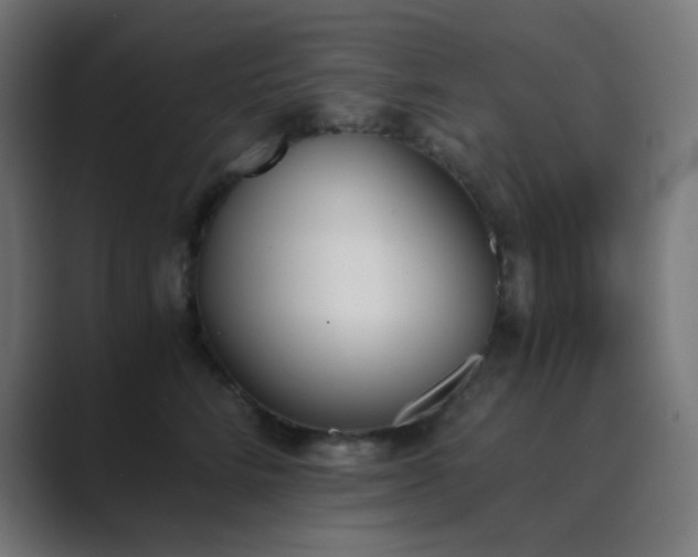 X0000089830712200706281211