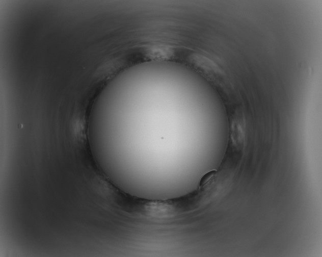 X0000089830714200706281211
