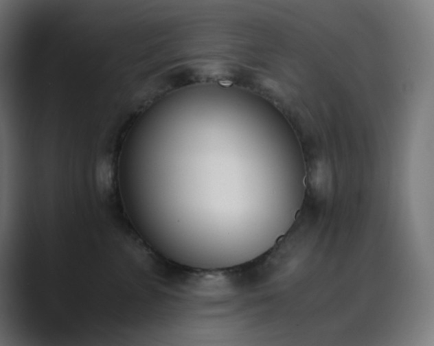X0000089830715200706281211