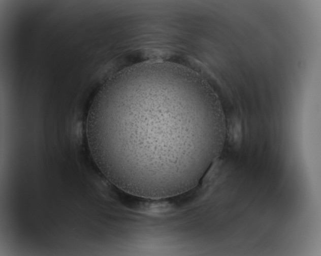 X0000089830716200706281211