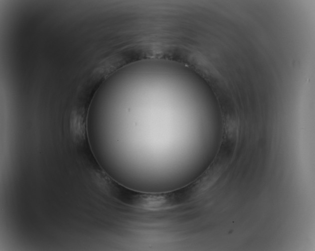 X0000089830719200706281211