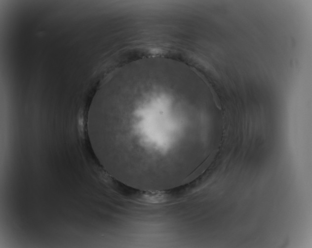 X0000089830720200706281211