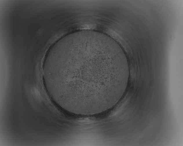 X0000089830721200706281211