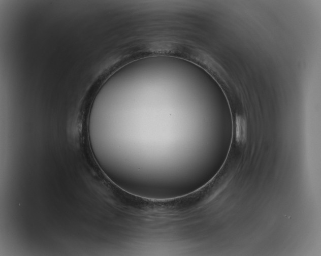 X0000089830723200706281211