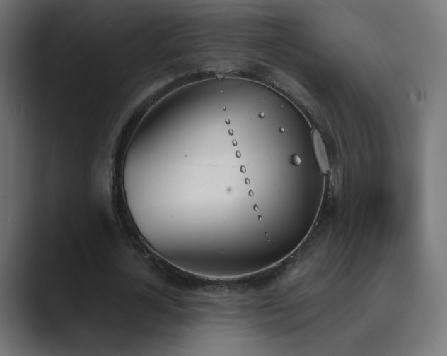 X0000089830724200706281211