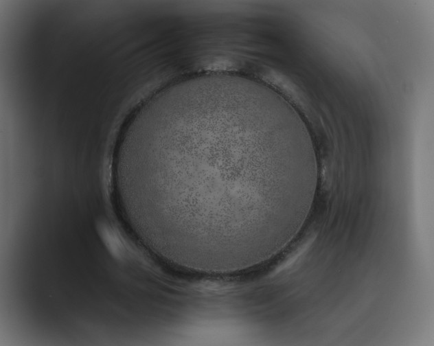 X0000089830725200706281211