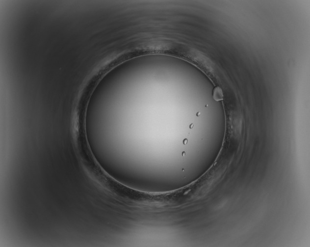 X0000089830726200706281211