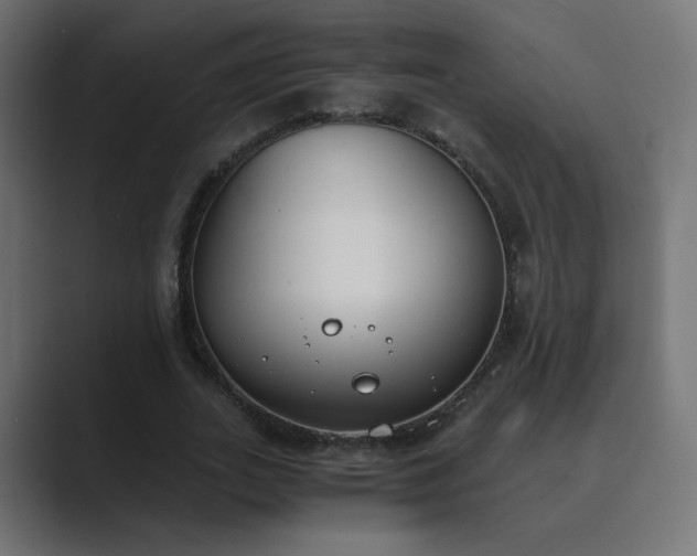 X0000089830727200706281211