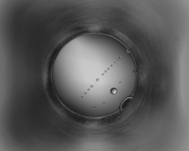 X0000089830728200706281211