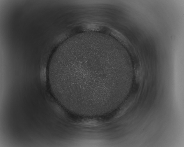 X0000089830729200706281211