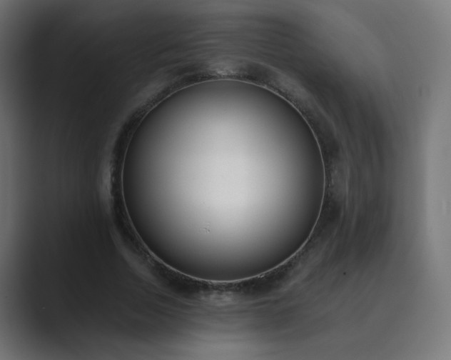X0000089830730200706281211