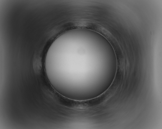 X0000089830731200706281211
