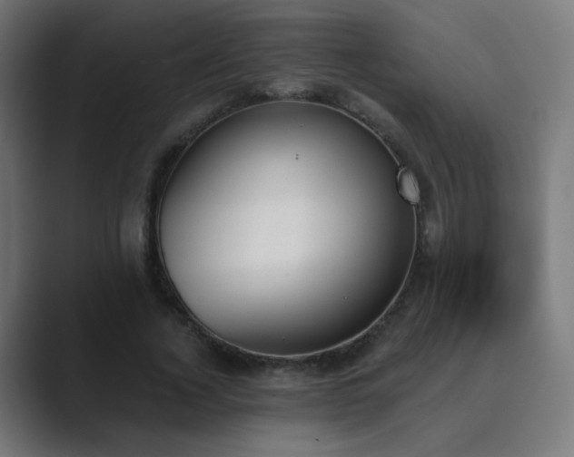 X0000089830732200706281211