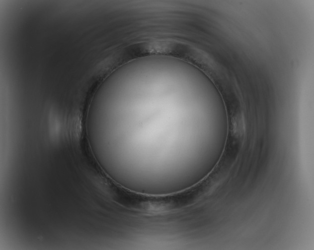 X0000089830733200706281211