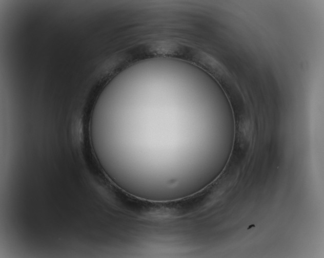 X0000089830734200706281211