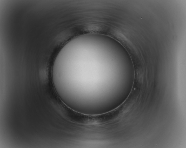 X0000089830735200706281211