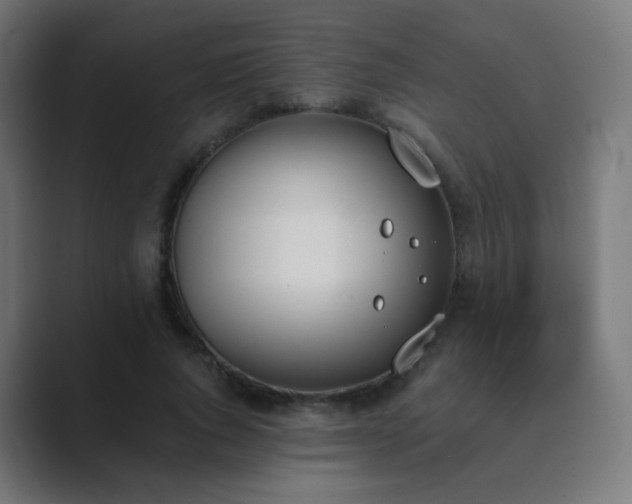 X0000089830736200706281211
