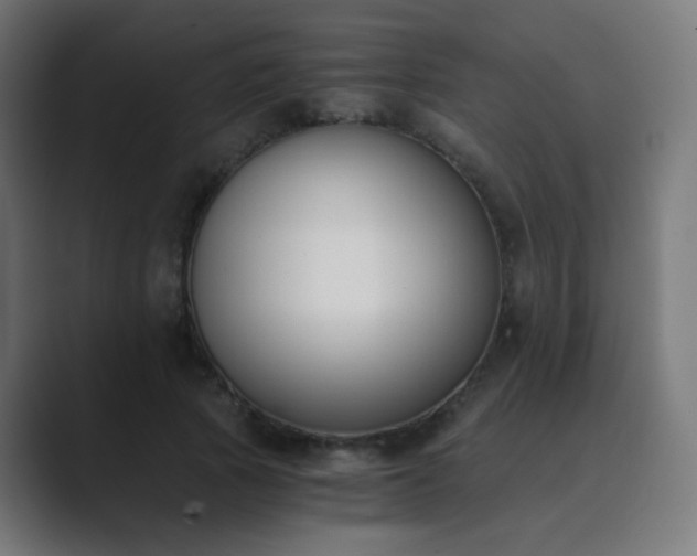 X0000089830737200706281211