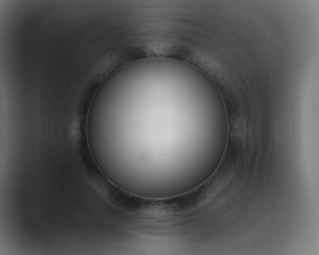 X0000089830738200706281211