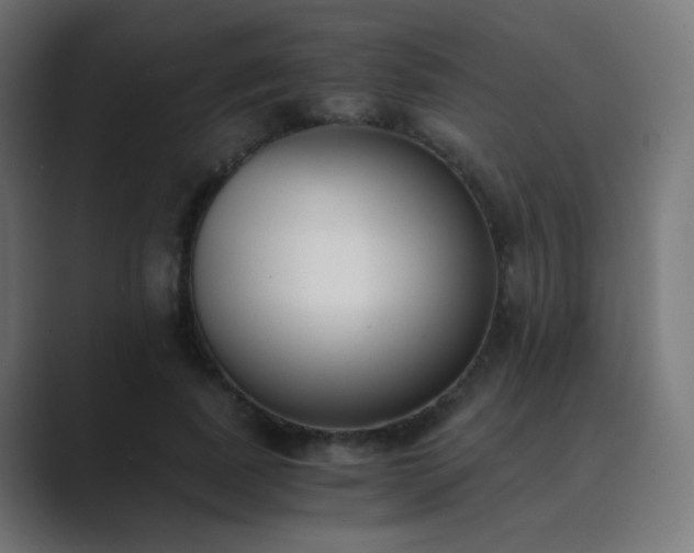 X0000089830739200706281211