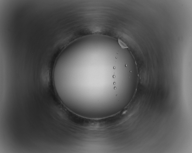 X0000089830740200706281211