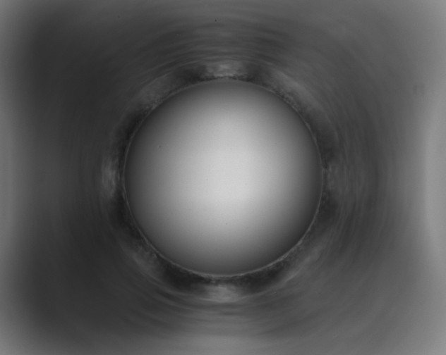 X0000089830741200706281211