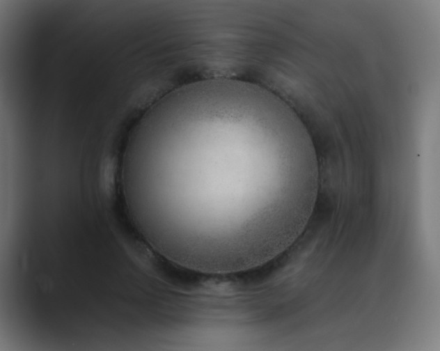X0000089830742200706281211
