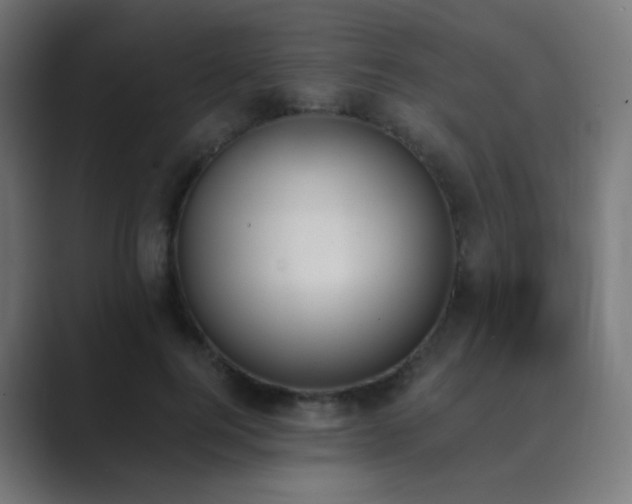 X0000089830744200706281211
