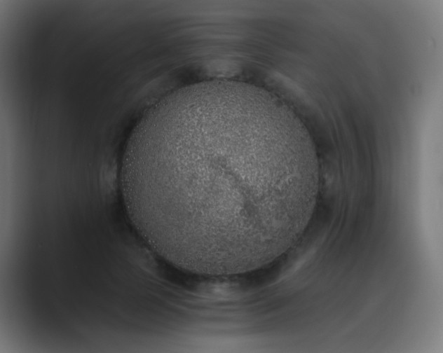 X0000089830745200706281211