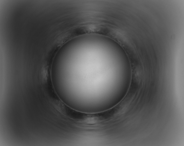X0000089830746200706281211
