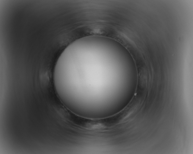 X0000089830747200706281211
