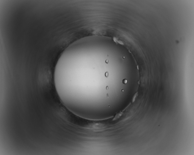 X0000089830748200706281211