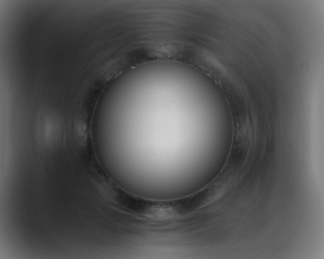 X0000089830749200706281211