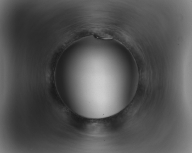 X0000089830750200706281211