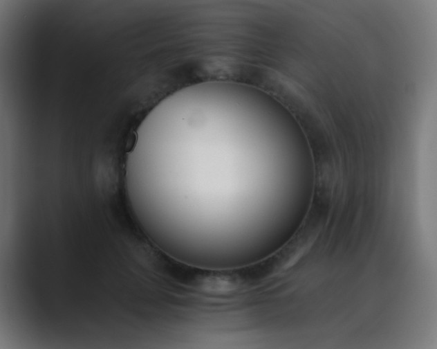 X0000089830751200706281211